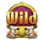 Wild Symbol